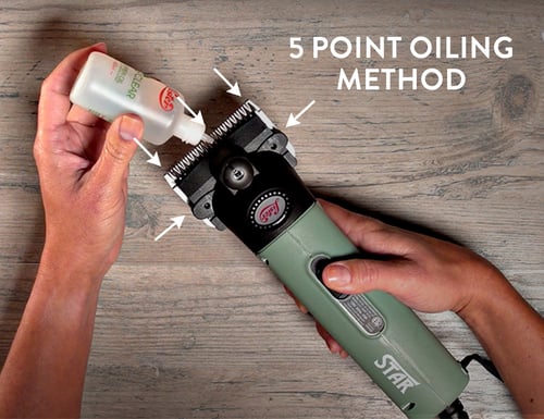 5-point-oiling@2x