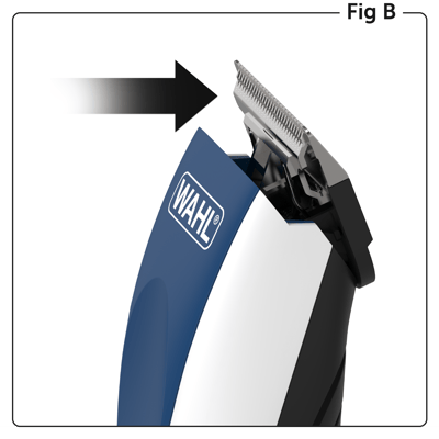 Fig. B