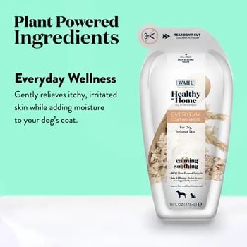 everyday wellness